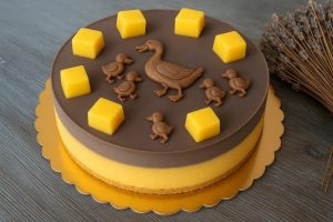 Torturilor Raw Vegane Ciocolata si Mango pentru Copii