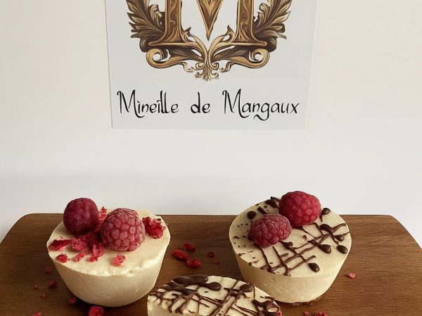 Prajitura raw vegan cu zmeura si cocos Mireille de Margaux